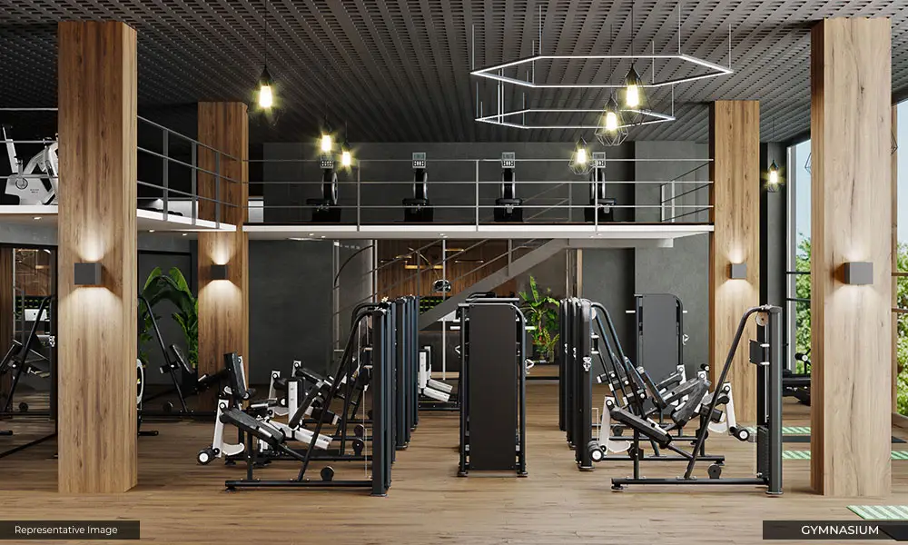 Gymnasium
